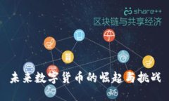 未来数字货币的崛起与挑战