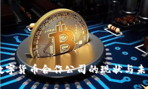美国数字货币合作公司的现状与未来展望