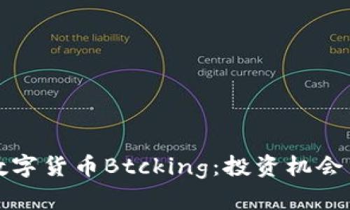 全面解析数字货币Btcking：投资机会与风险评估