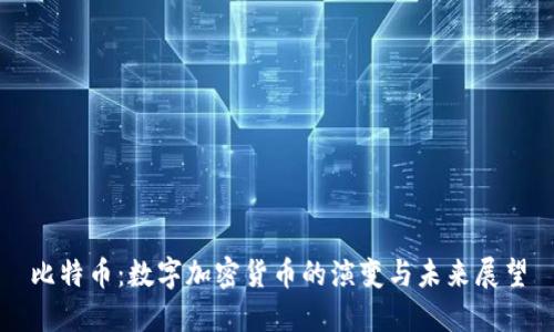 比特币:数字加密货币的演变与未来展望