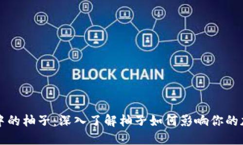 以太坊钱包中的柚子：深入了解柚子如何影响你的加密资产管理