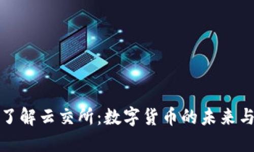 深入了解云交所:数字货币的未来与趋势