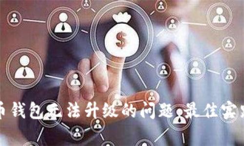 如何解决数字货币钱包无法升级的问题:最佳实践与常见故障排除