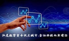 汕尾数字货币试点城市:金融科技的新前沿