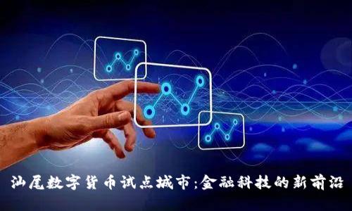 汕尾数字货币试点城市:金融科技的新前沿