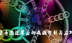数字货币泡沫背后的成因分析与应对策略