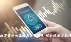 数字货币的流通与未来发展:解析现状与挑战
