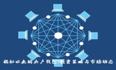 揭秘以太坊大户钱包:投资策略与市场动态