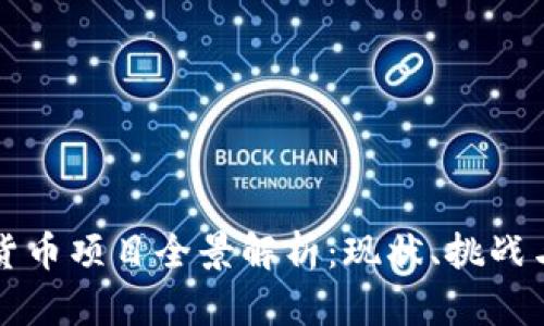 中国数字货币项目全景解析:现状、挑战与未来趋势