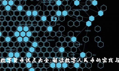 中国数字货币试点大全：解读数字人民币的实践与前景