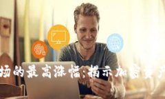 数字货币市场的最高涨幅:揭示加密资产的财富