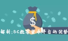 全方位解析:BC数字货币平台的优势与风险