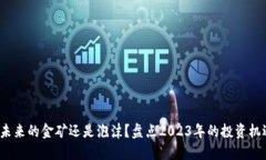 《数字货币：未来的金矿还是泡沫？盘点2023年的