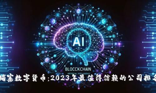 探索柬埔寨数字货币：2023年最值得信赖的公司排名与展望