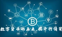 探索XRP：数字货币的未来，揭开行情背后的秘密