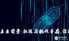 数字货币的未来前景：机遇与挑战并存，谁能笑