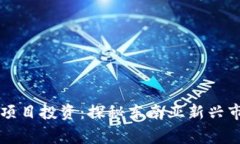 柬埔寨数字货币项目投资：探秘东南亚新兴市场