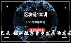 未来已来：探秘数字货币发展的龙头企业