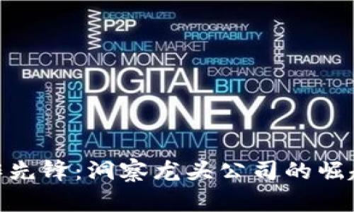 数字货币合作先锋：洞察龙头公司的崛起与未来机遇