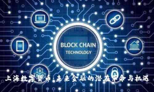 上海数字货币：未来金融的潜在革命与机遇