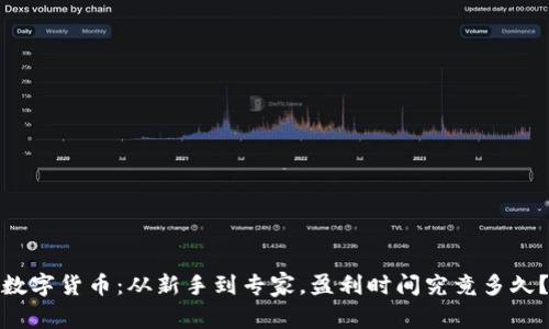 数字货币：从新手到专家，盈利时间究竟多久？