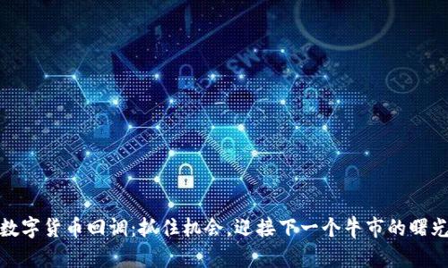 数字货币回调：抓住机会，迎接下一个牛市的曙光