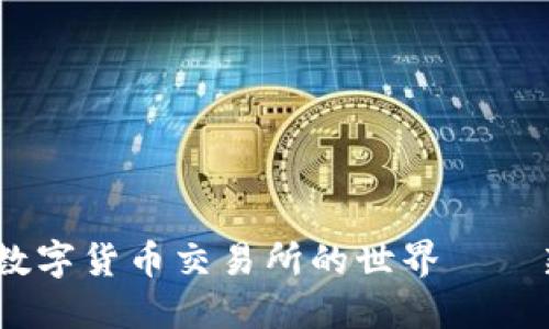 从零开始：深入探讨数字货币交易所的世界——新手指南与文化现象