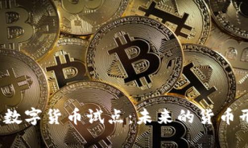 探索金融行业数字货币试点：未来的货币形式还是泡沫？