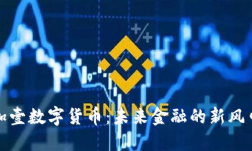 厦门壹加壹数字货币：未来金融的新风口与机遇