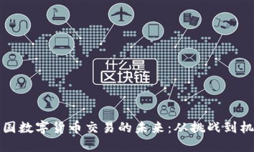 美国数字货币交易的未来：从挑战到机遇