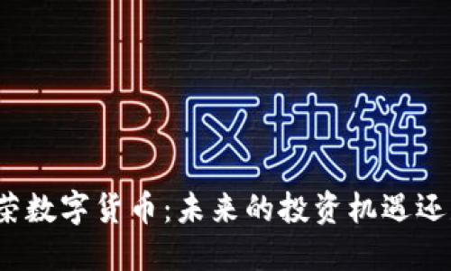 探究金荣数字货币：未来的投资机遇还是泡沫？