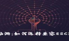在数字货币世界中畅游：如何选择兼容ERC20和比特