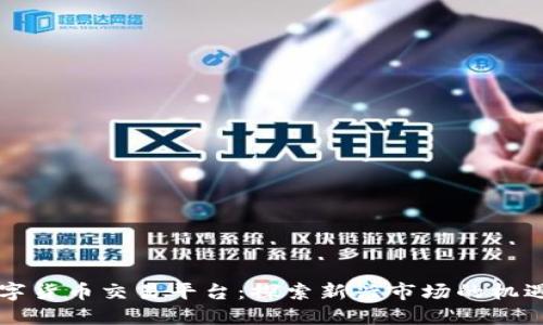 中亚数字货币交易平台：探索新兴市场的机遇与挑战