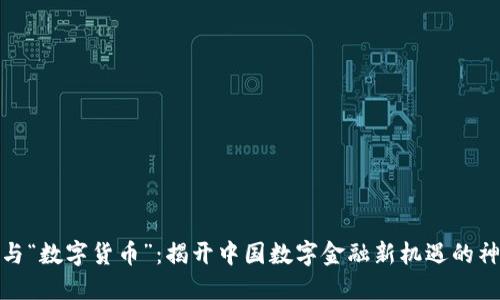 “姚洋”与“数字货币”：揭开中国数字金融新机遇的神秘面纱