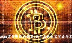 盐城数字货币最大骗局：揭开虚拟财富背后的真