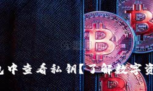 如何在以太坊钱包中查看私钥？了解数字资产安全的第一步！