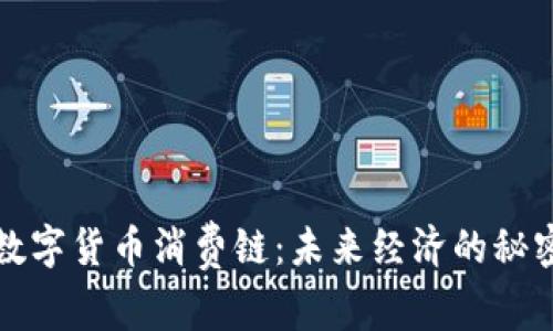 解锁数字货币消费链：未来经济的秘密钥匙