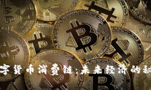 解锁数字货币消费链：未来经济的秘密钥匙