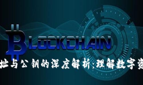 以太坊钱包地址与公钥的深度解析：理解数字资产的安全之钥