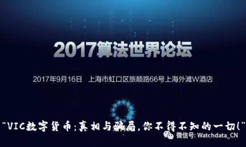 “VIC数字货币：真相与骗局，你不得不知的一切！”