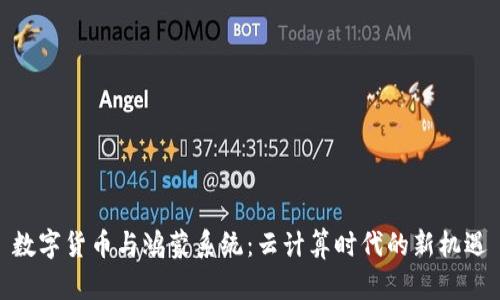 数字货币与鸿蒙系统：云计算时代的新机遇