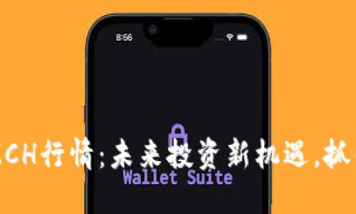 数字货币LMCH行情：未来投资新机遇，抓住这波热潮！