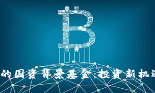 数字货币市场中的国资背景基金：投资新机遇还是风险重重？