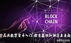 爱沙尼亚数字货币入门：探索基础知识与未来趋