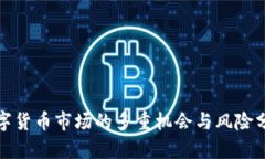 数字货币市场的多重机会与风险分析